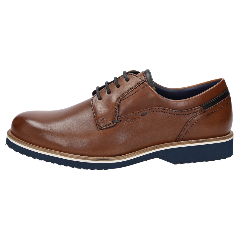 Dilip-716-H - cognac