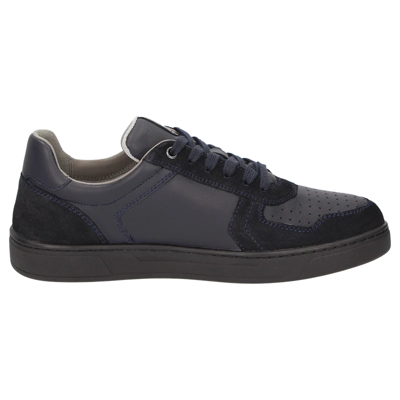 Tertulio-700-H - dunkelblau