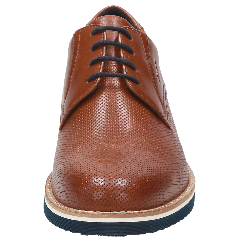 Dilip-701-H - braun