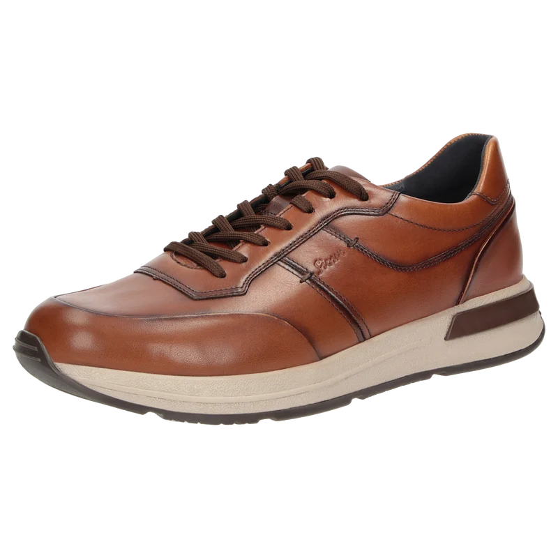 Rojaro-720 - cognac