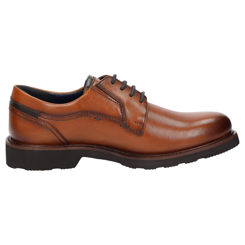 Dilip-716-H - cognac