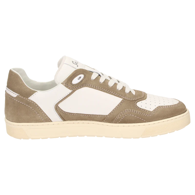 Tedroso-704 - beige
