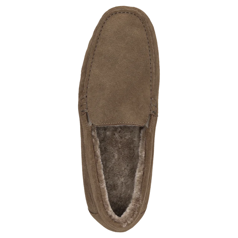 Farmilo-703-LF - braun