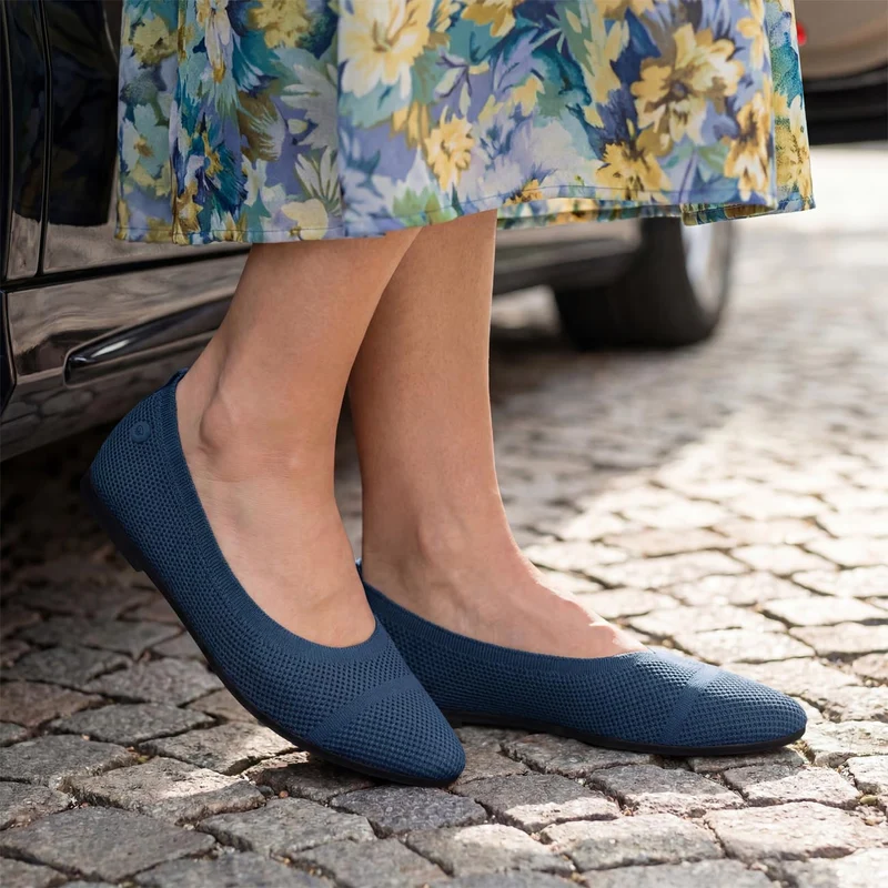 Eco Ballerinas Pointy 2.0