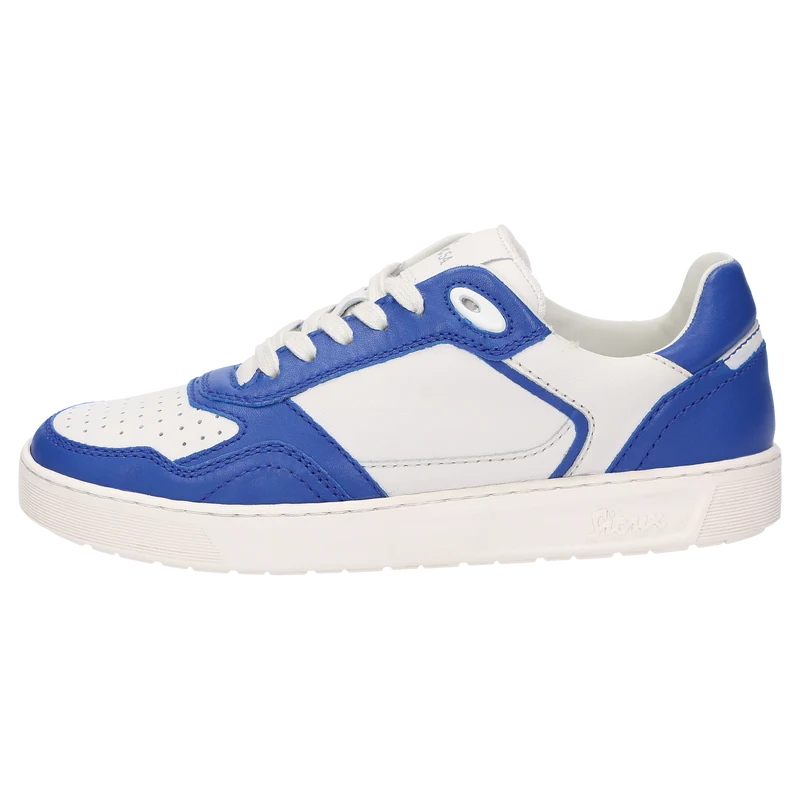 Tedroso-DA-700 - blau