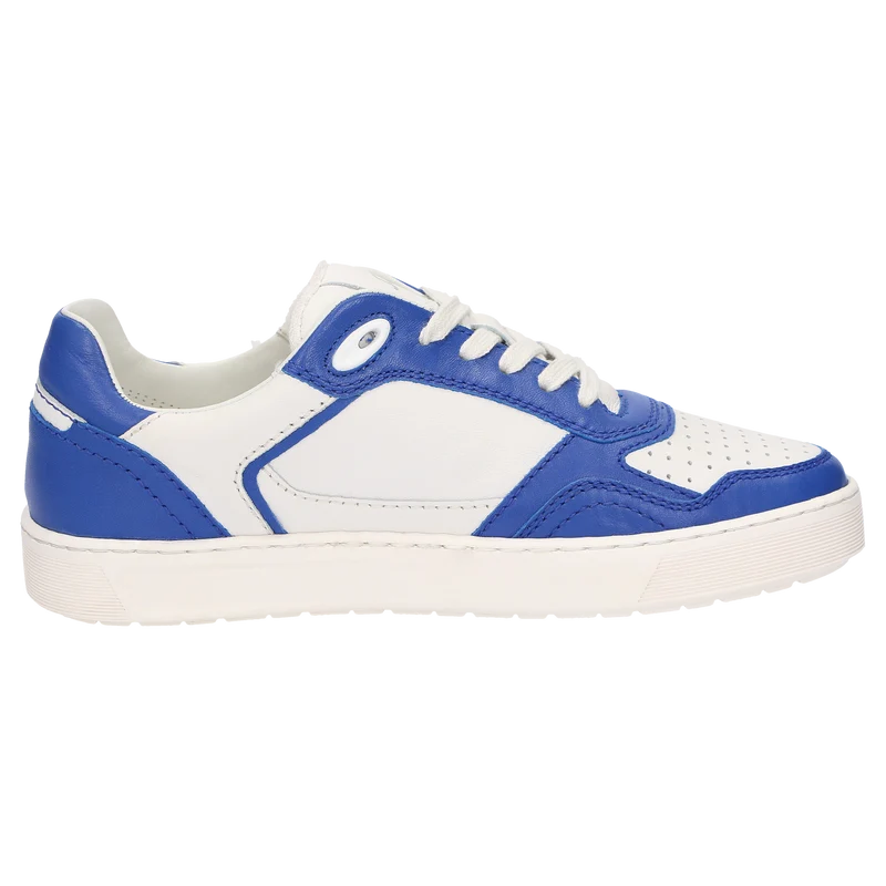 Tedroso-DA-700 - blau