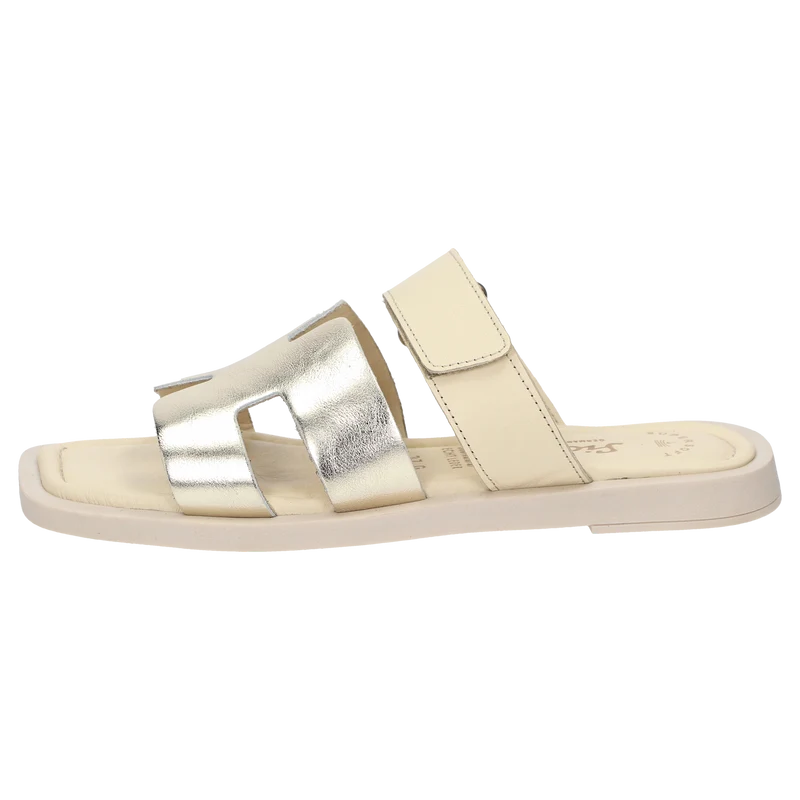 Molsirka-700 - gold