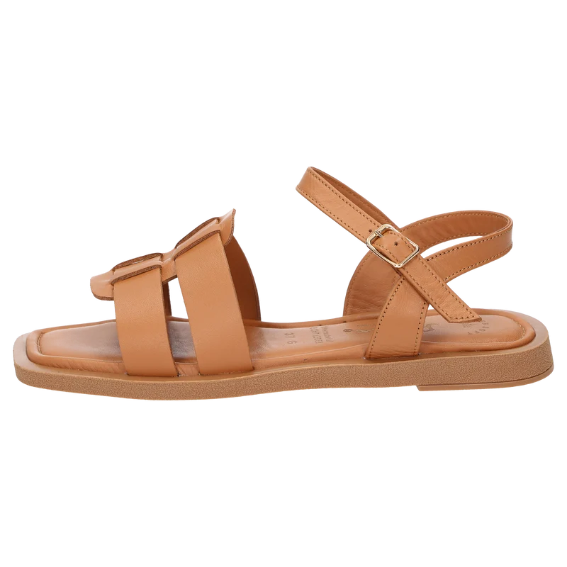 Molsirka-702 - cognac