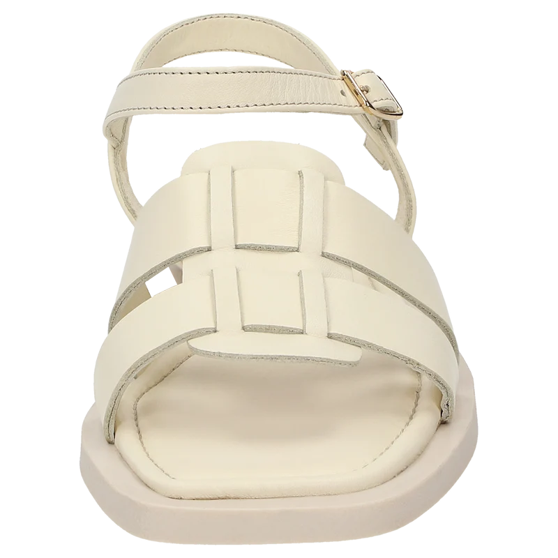 Molsirka-702 - beige