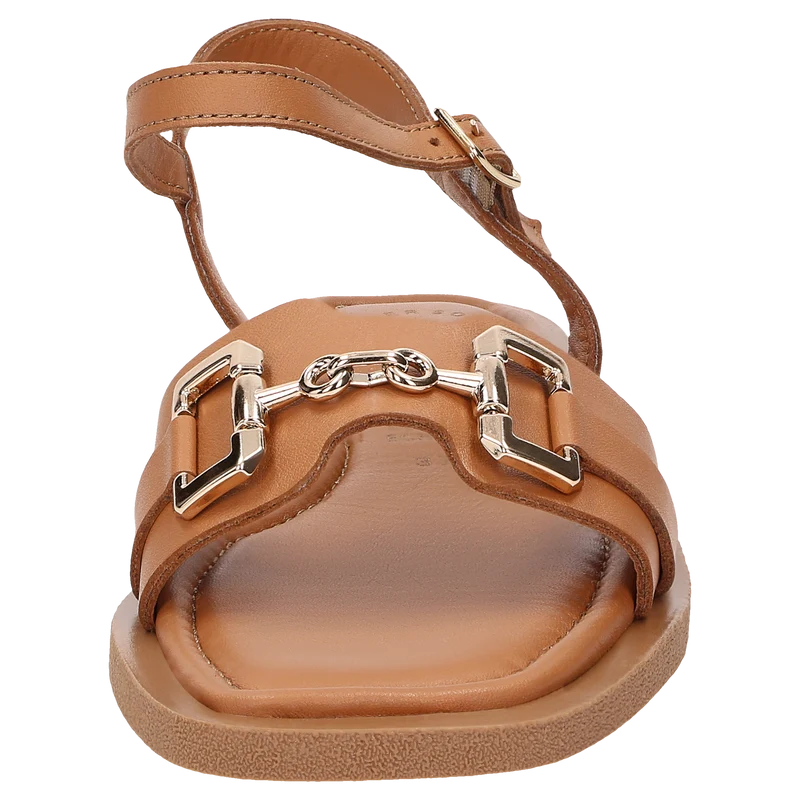 Molsirka-704 - cognac