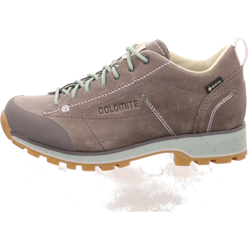 Dolomite Wanderschuh 54 Low Fg Evo GTX grau