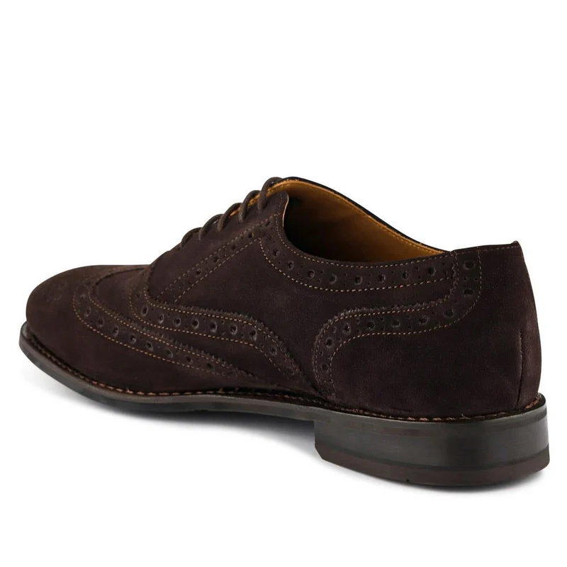 Braxton Leather Brogues - BRAXTON / 326 034 - Dark Brown Suede