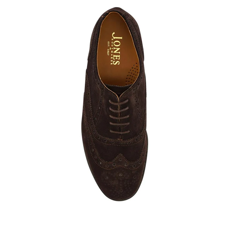 Braxton Leather Brogues - BRAXTON / 326 034 - Dark Brown Suede