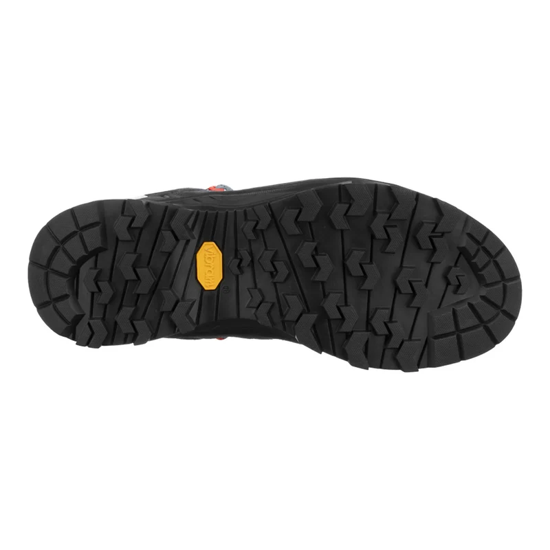 ALP TRAINER 2 GTX SHOE W