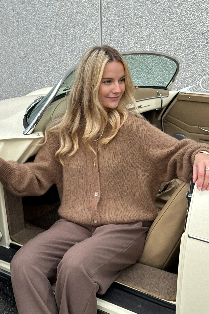 BYIC - Idaic Cardigan - camel Camel