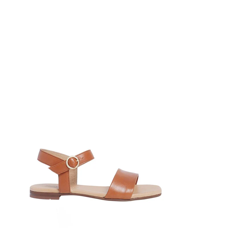 Madeleine Outlet — Cognac