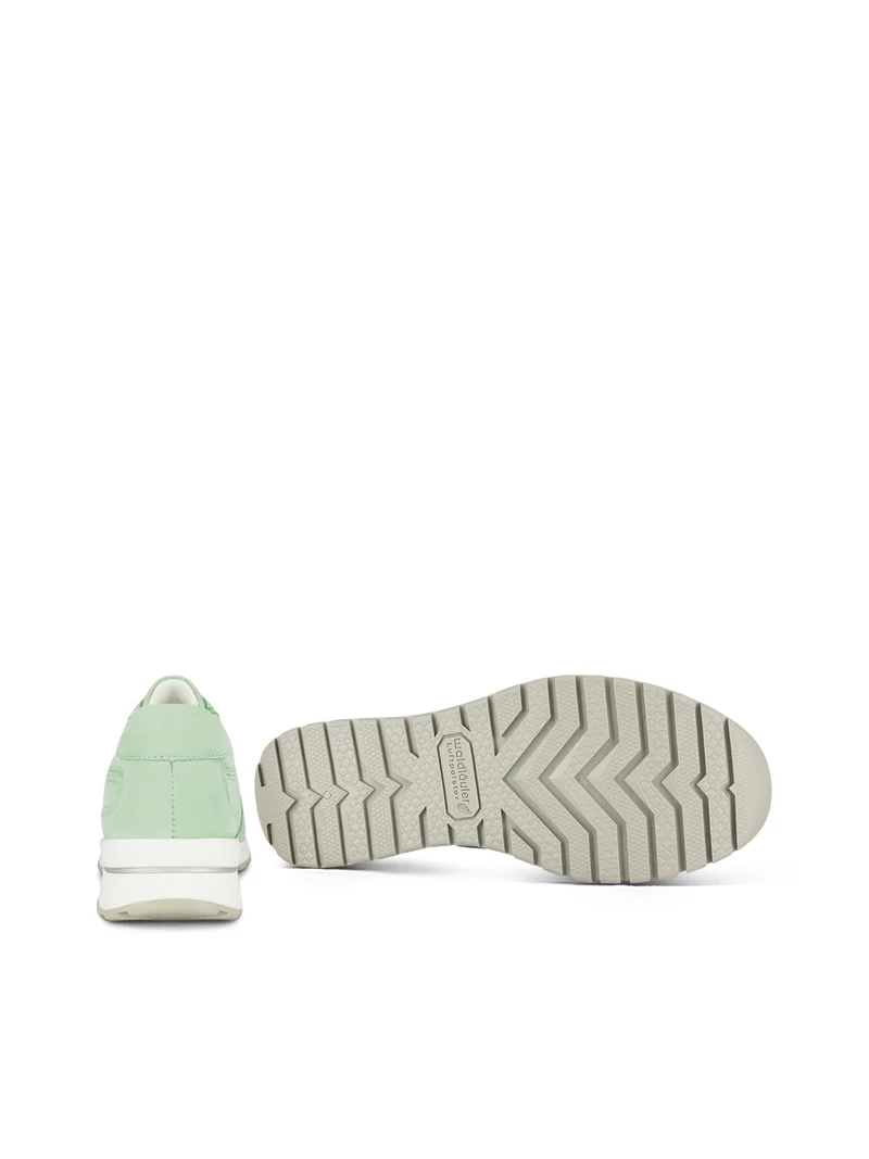 WINESSA LT GREEN