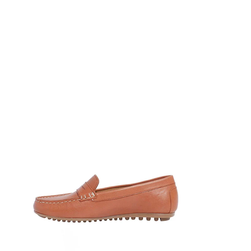 Indy Outlet — Cognac