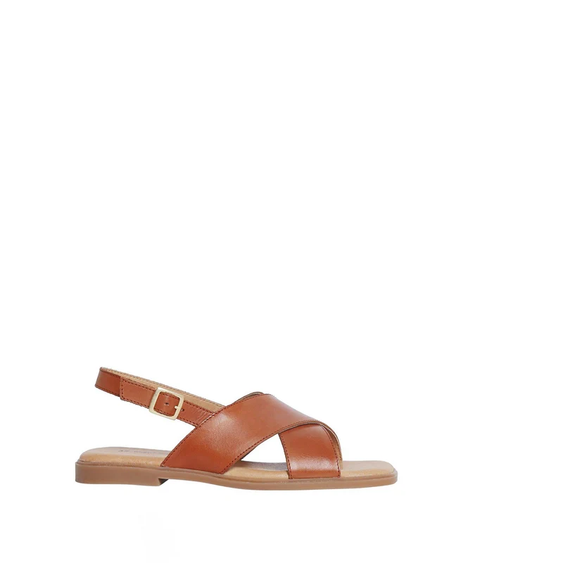 Olivia Outlet — Cognac