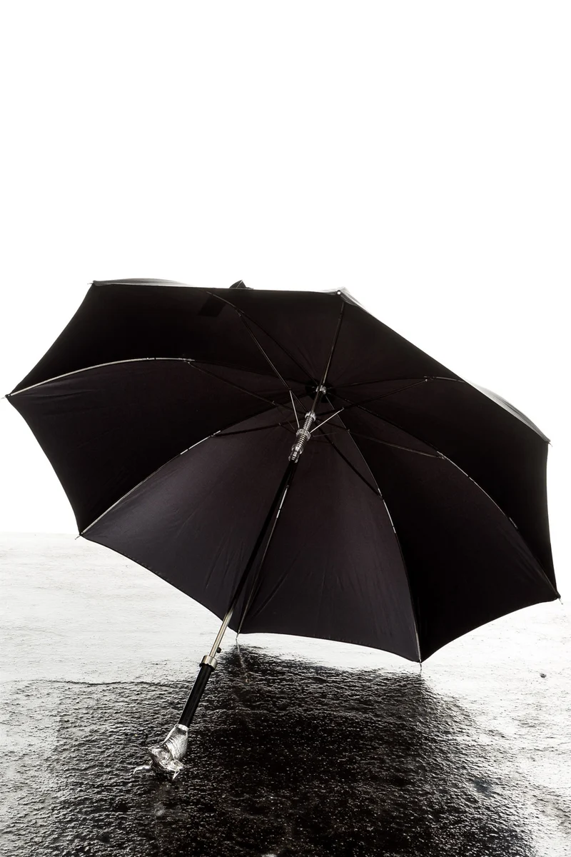 Pasotti Regenschirm mit Stierkopfknauf schwarz