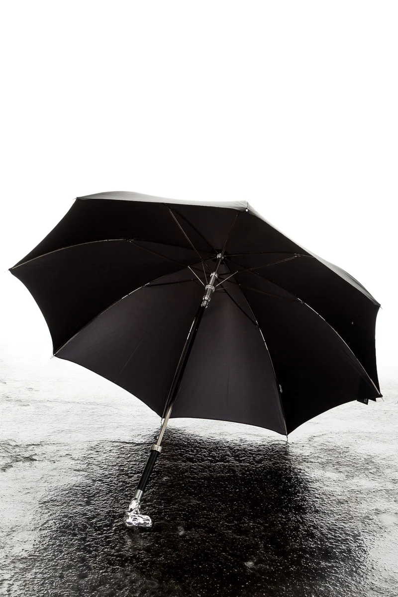 Pasotti Regenschirm mit Hundekopfknauf schwarz