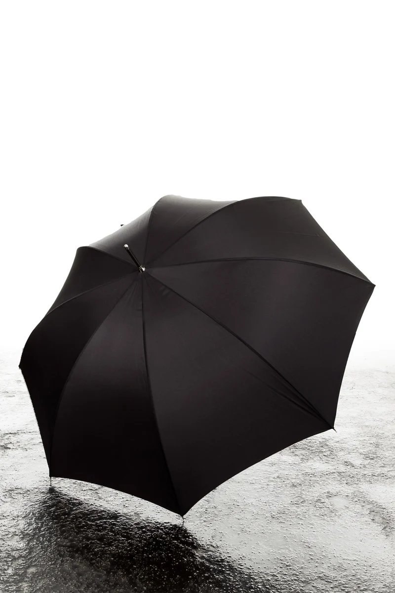 Pasotti Regenschirm mit Schlangenknauf schwarz