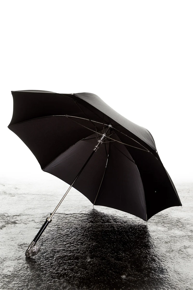 Pasotti Regenschirm mit Schlangenknauf schwarz