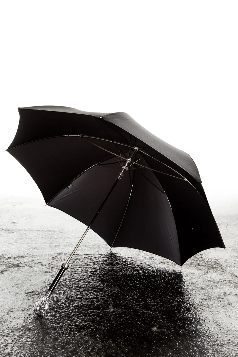 Pasotti Regenschirm mit Löwenknauf schwarz