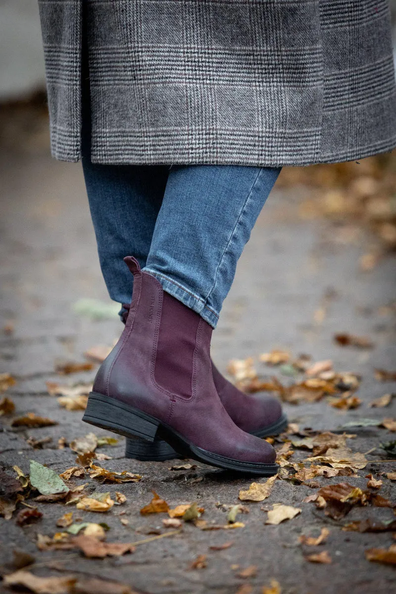 Pandora Chelsea boots — Wine