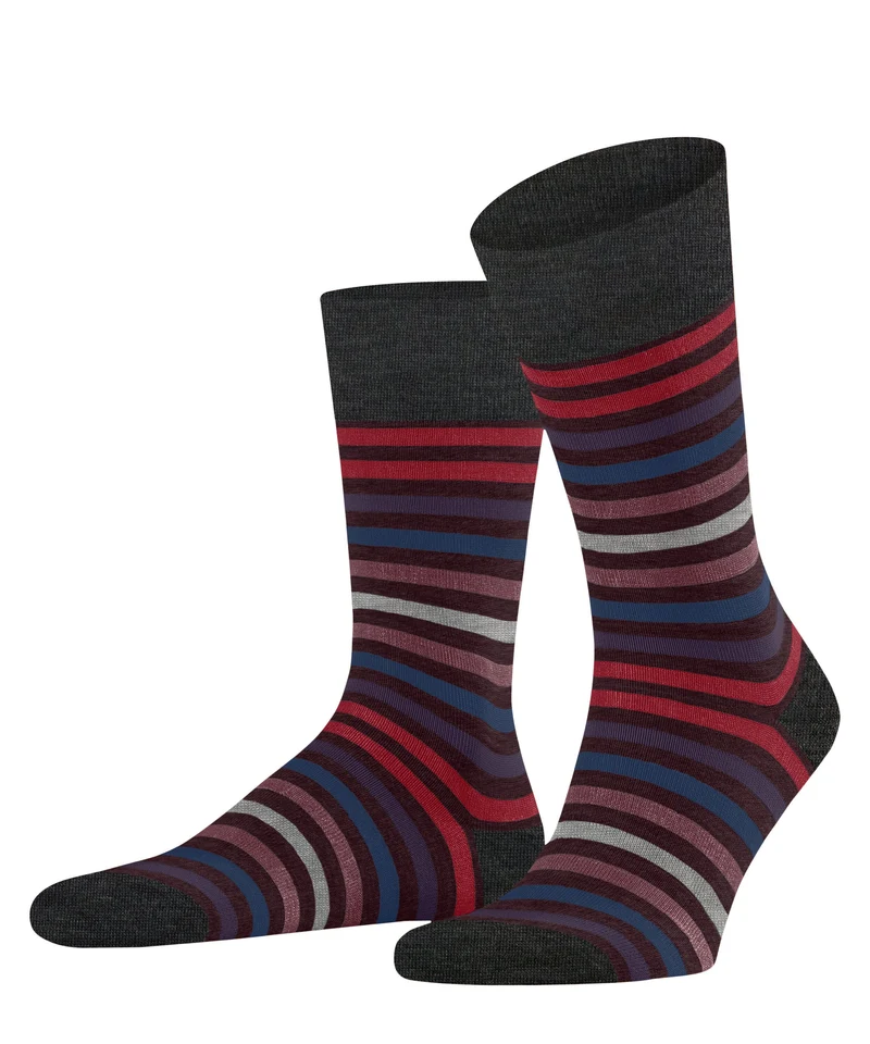 FALKE Tinted Stripe SO