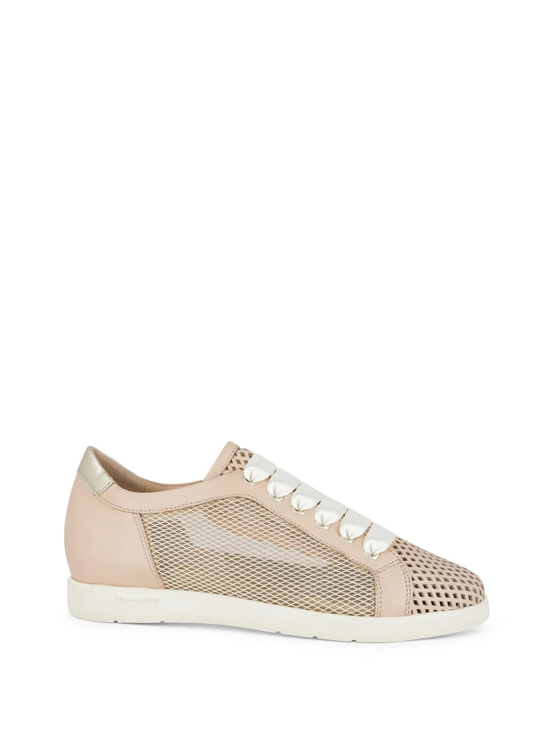 LAWTON BLUSH