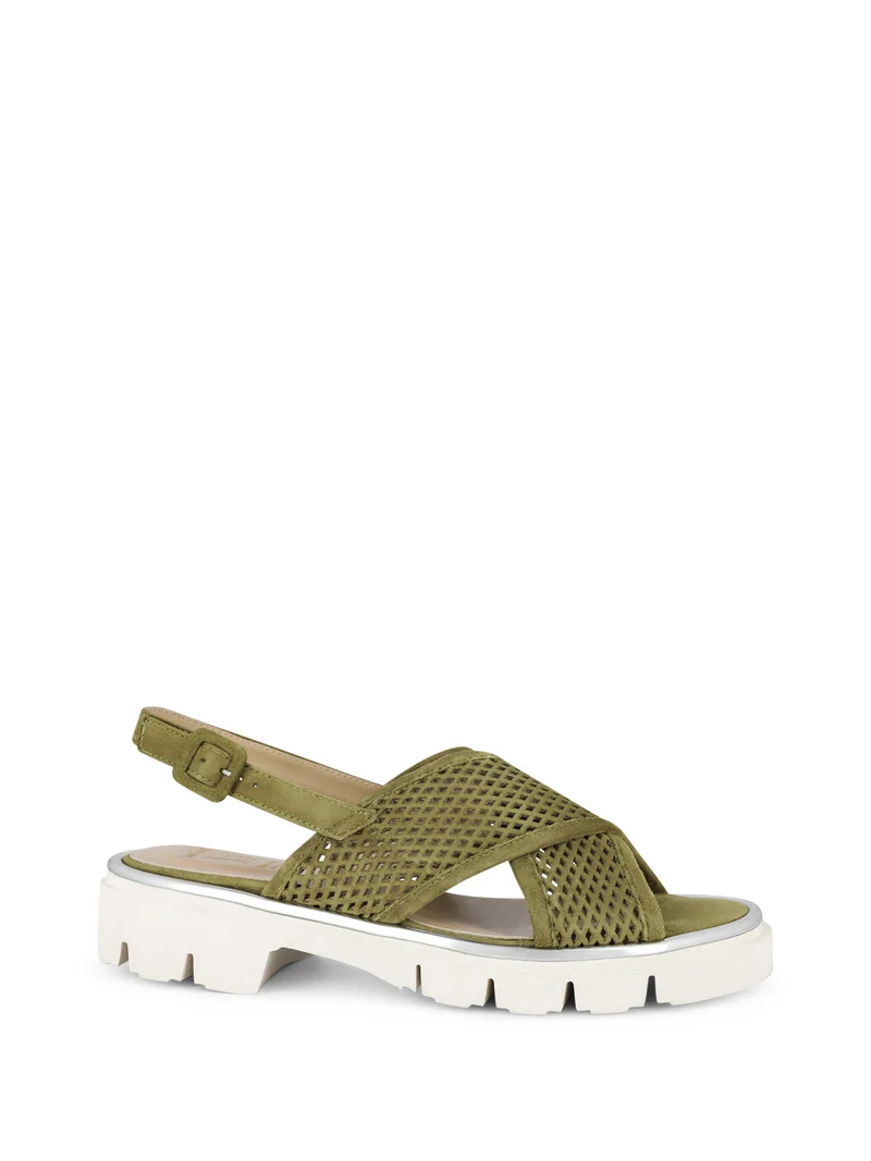 LAMBARE OLIVE
