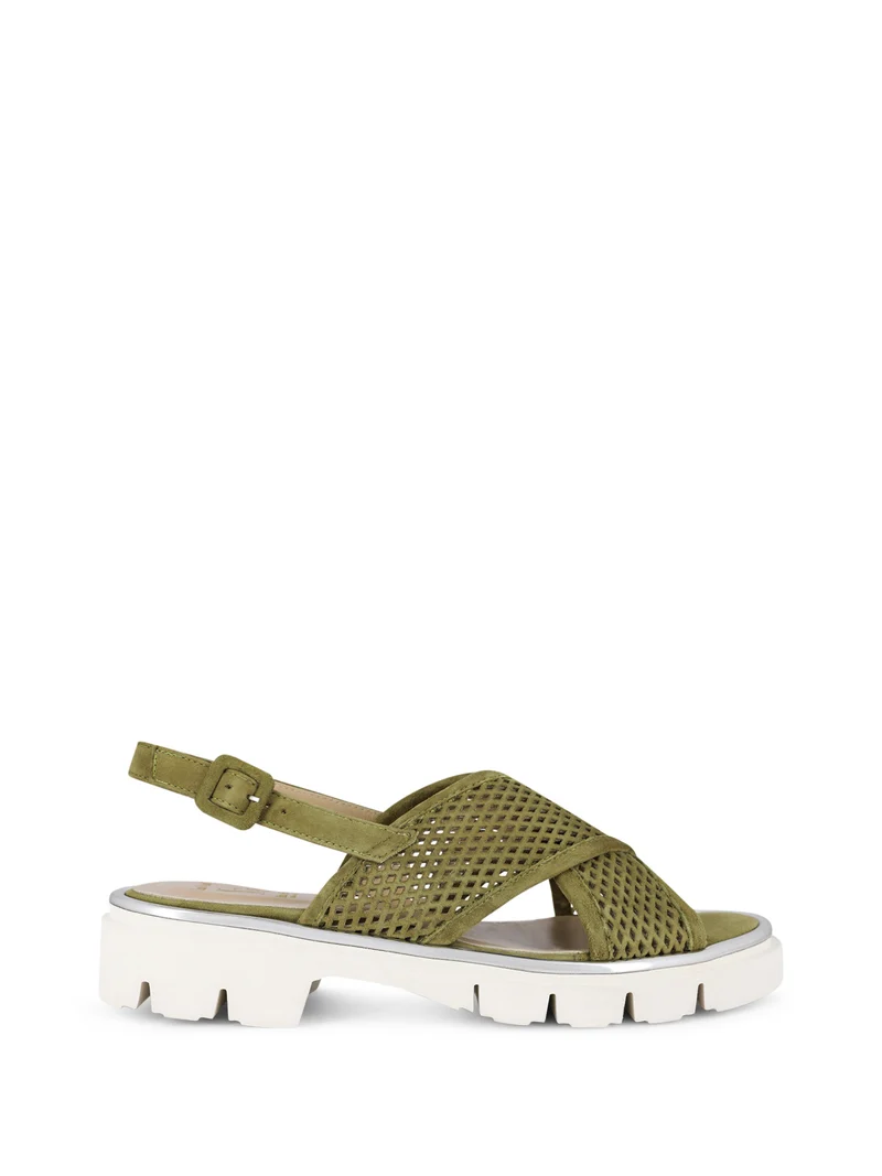 LAMBARE OLIVE