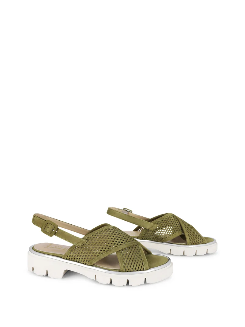LAMBARE OLIVE