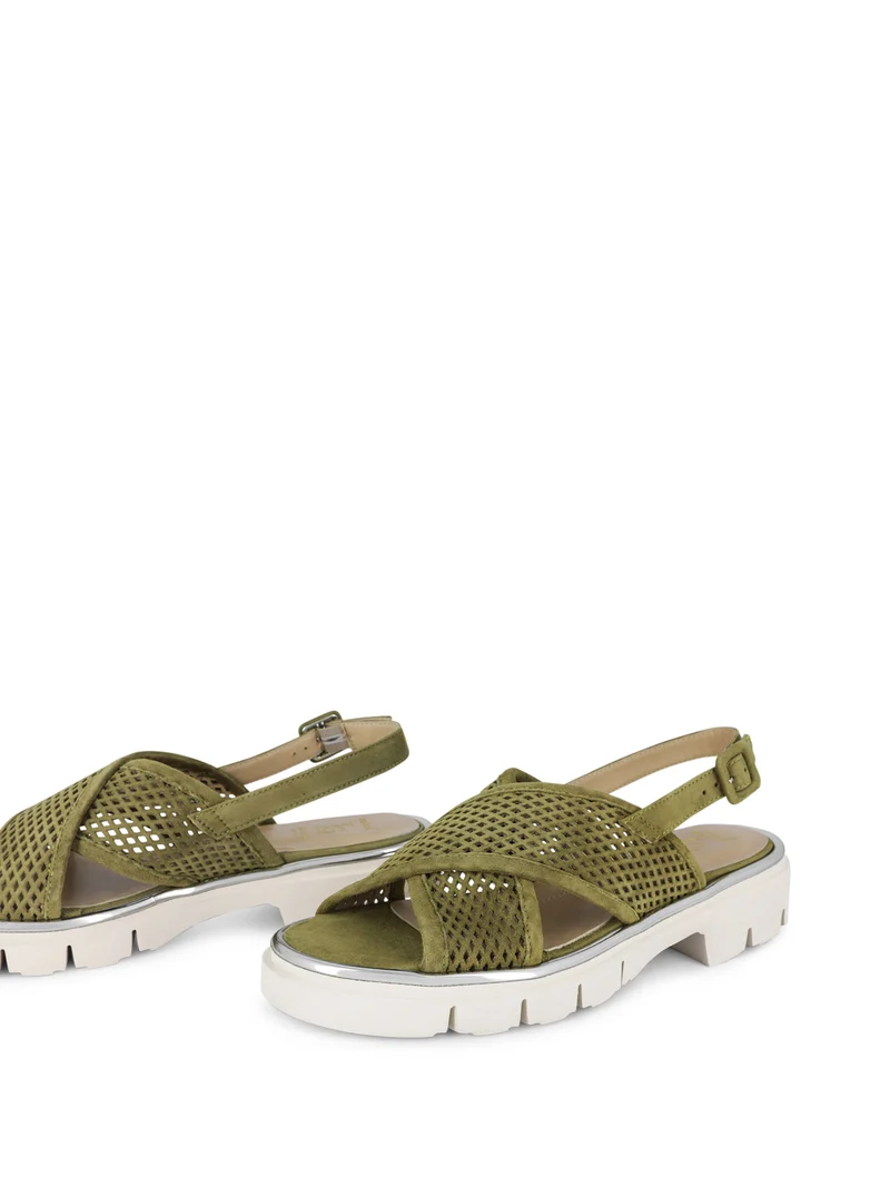 LAMBARE OLIVE