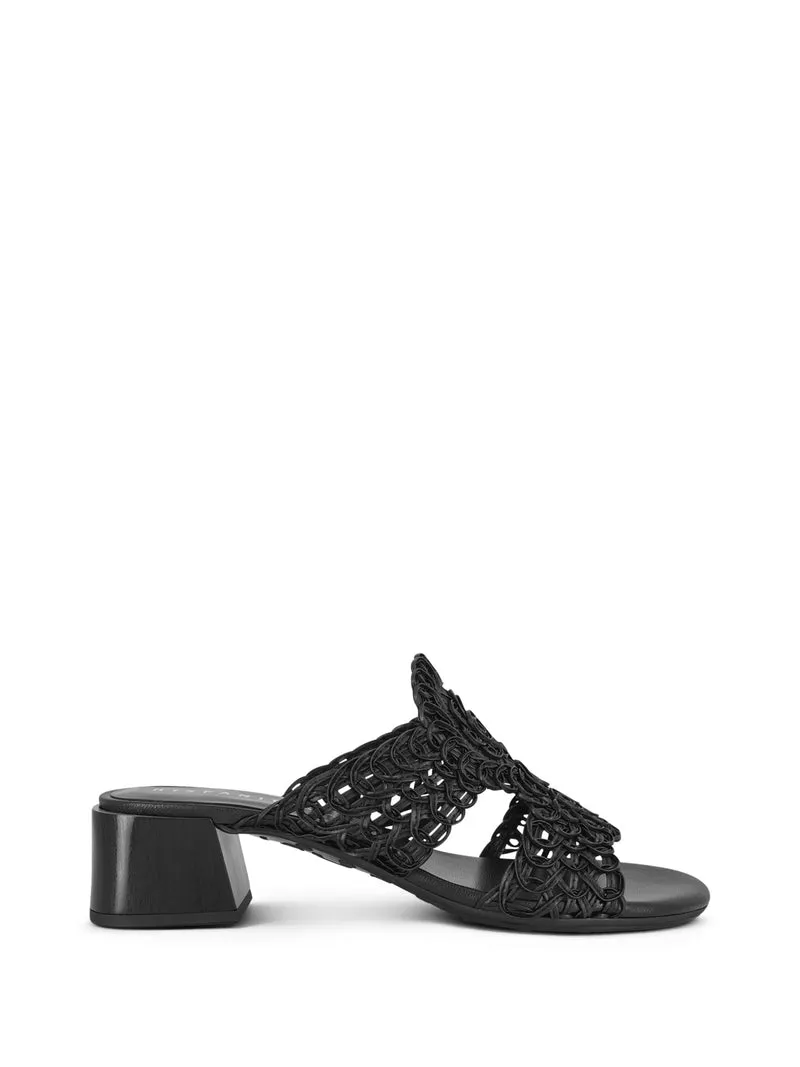 HADY BLACK