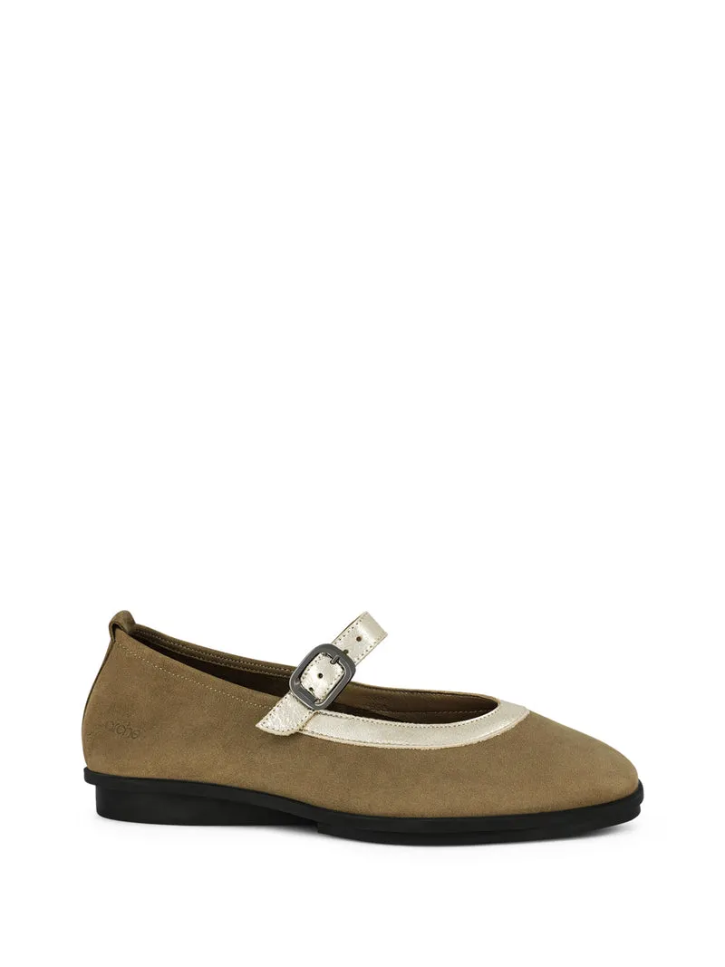 DINAME CHESTNUT
