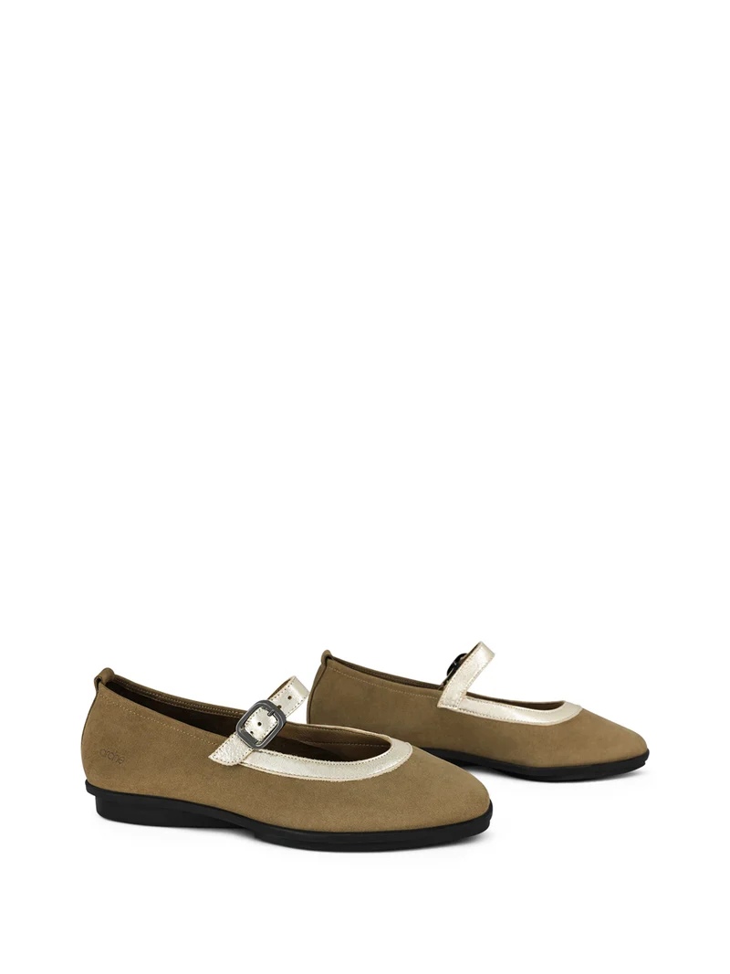 DINAME CHESTNUT
