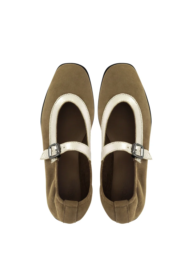 DINAME CHESTNUT