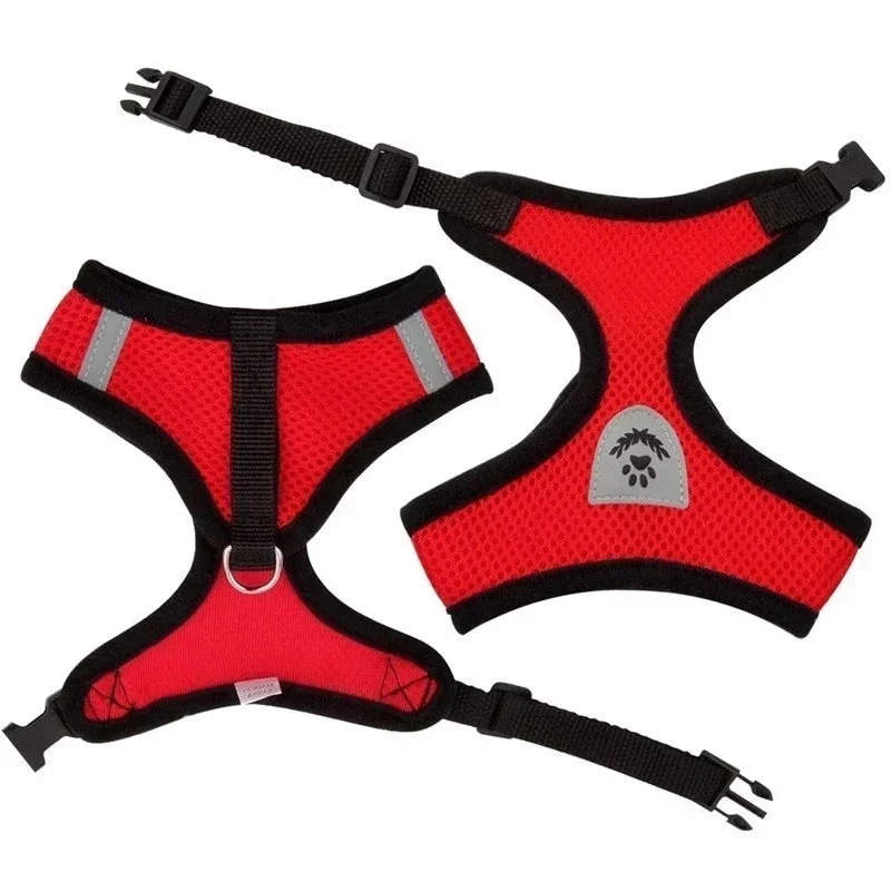 PawEase Mesh Harness Set – Verstellbares Katzen- und Kleintiergeschirr mit Leine