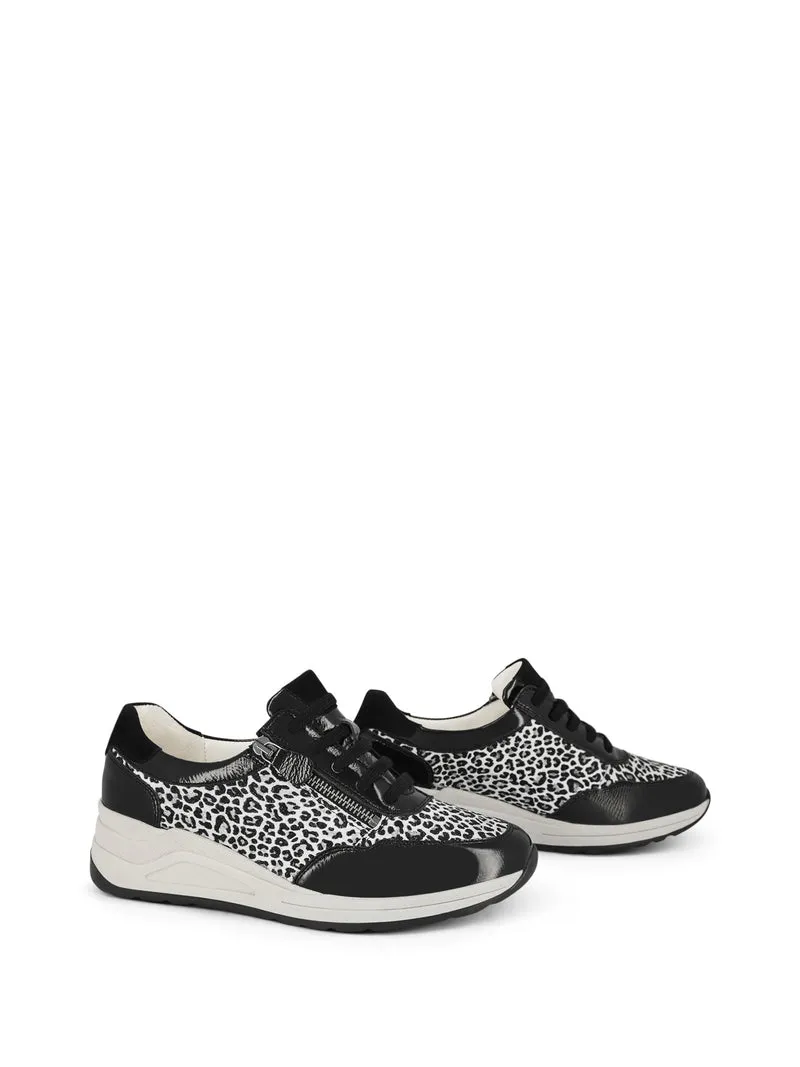 COLSON BLACK~LEOPARD