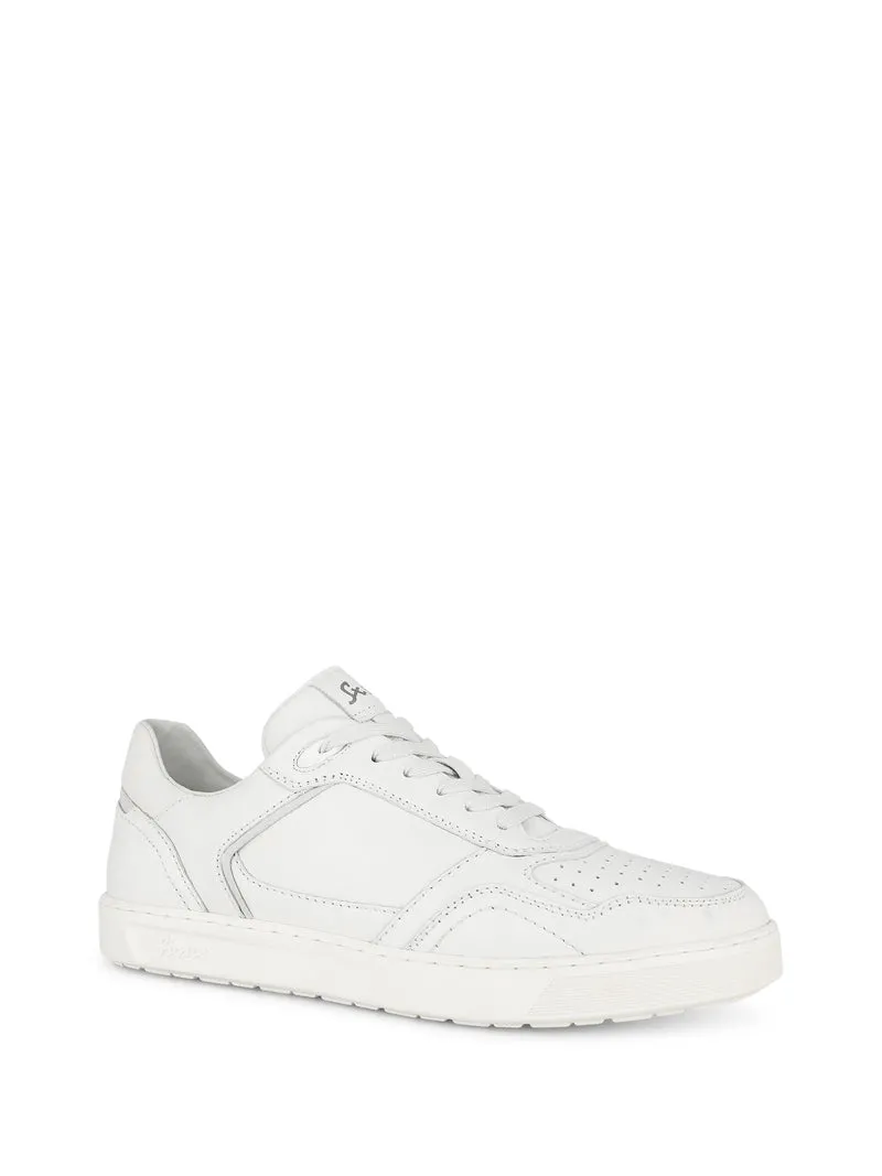 TEDROSO-704 WHITE