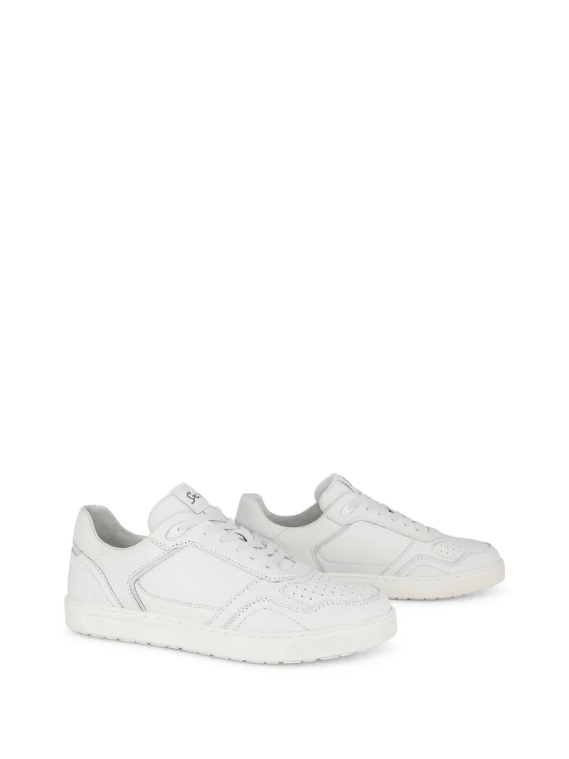TEDROSO-704 WHITE