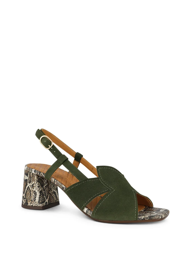 RUTTER OLIVE