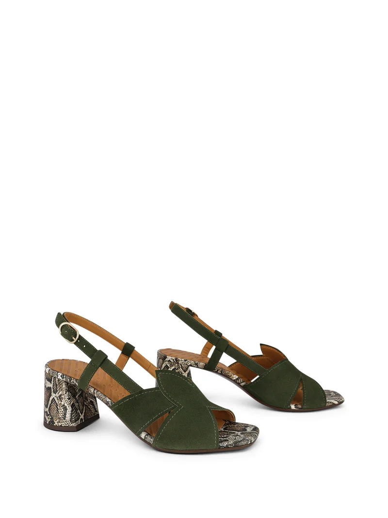 RUTTER OLIVE