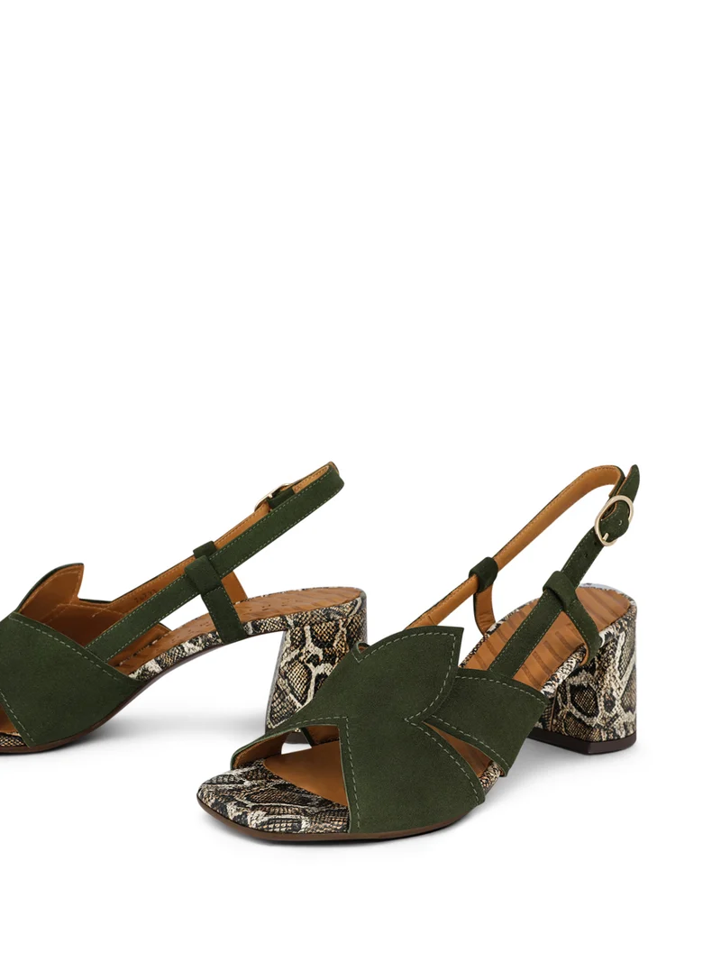 RUTTER OLIVE