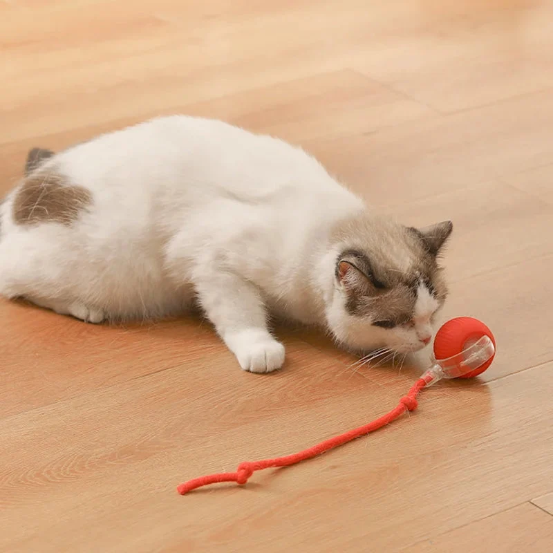 Interaktiver Katzen-Spielball – Weiches Plüschspielzeug für aktives Spielen