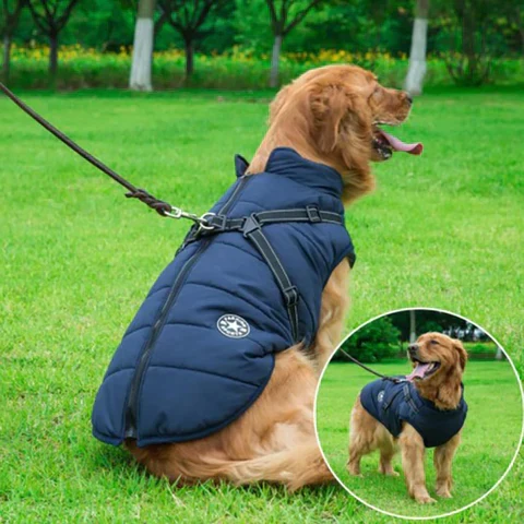Caniflex Winter-Hundejacke mit integrierter Geschirr-Funktion