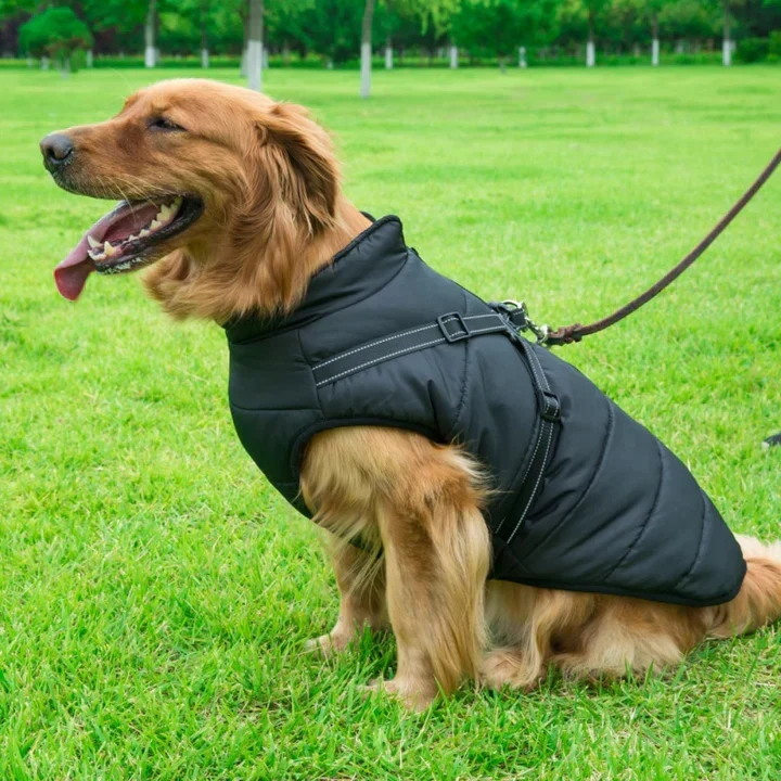 Caniflex Winter-Hundejacke mit integrierter Geschirr-Funktion