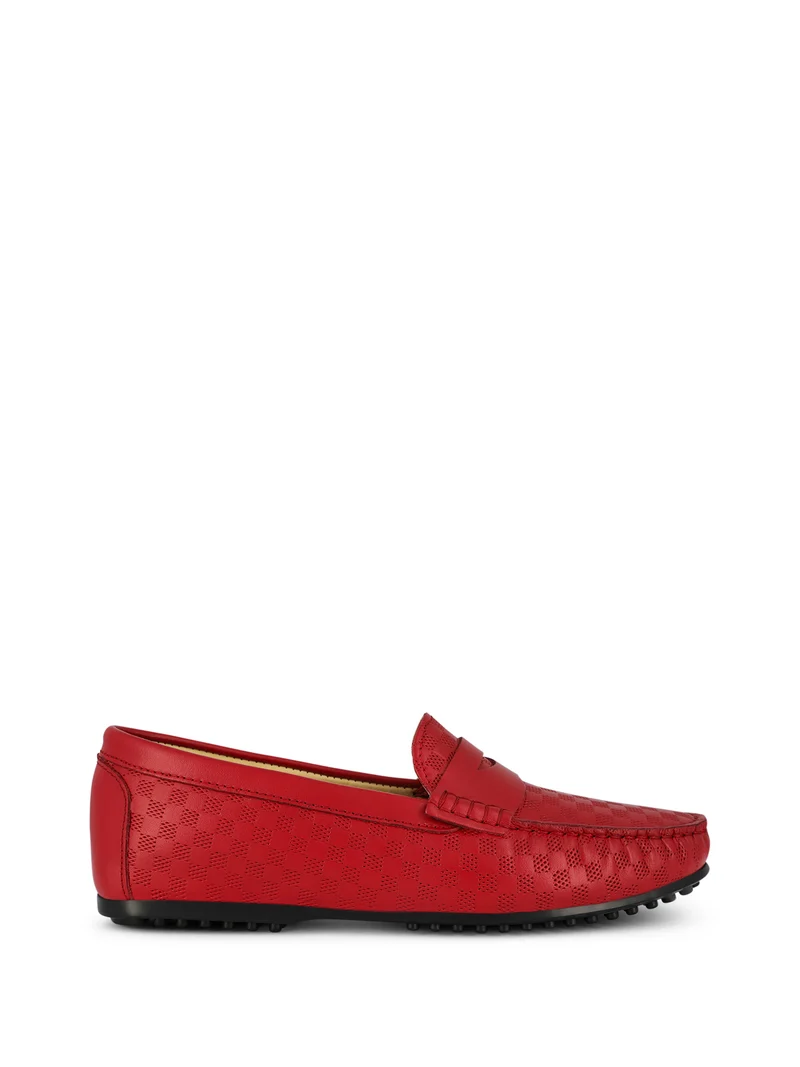 LEDRO RED